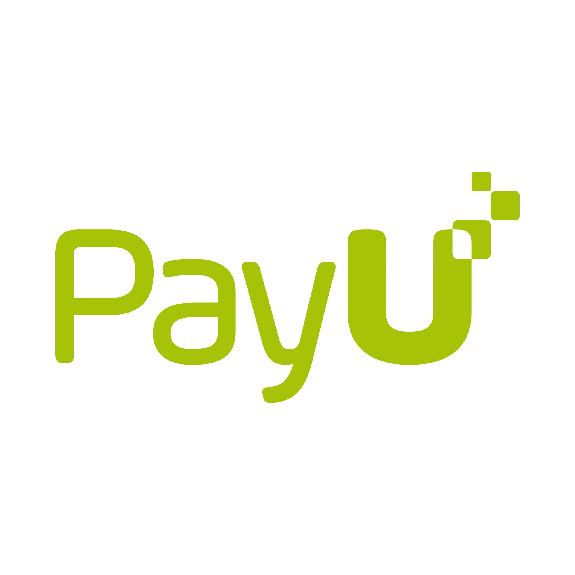 Raty Payu